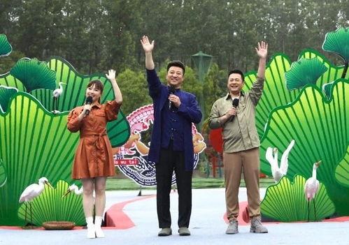 高德最新爆料新闻视频下载,揭秘新闻视频下载背后的秘密